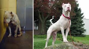 Before and After